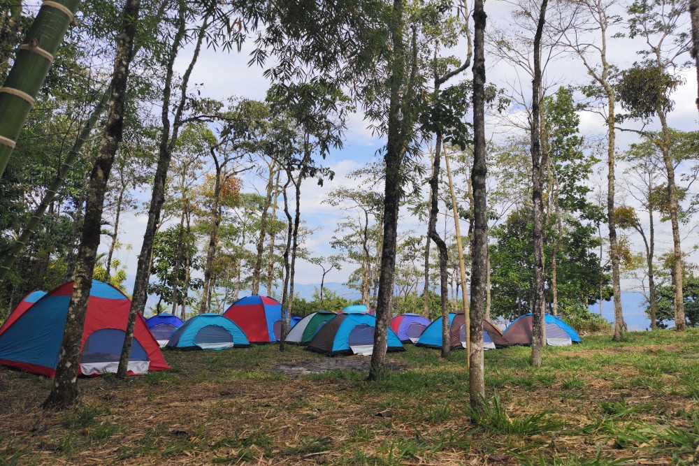 carpas-adrenaline-hostel